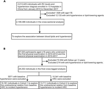 High Remnant Cholesterol Level Potentiates the Development of Hypertension